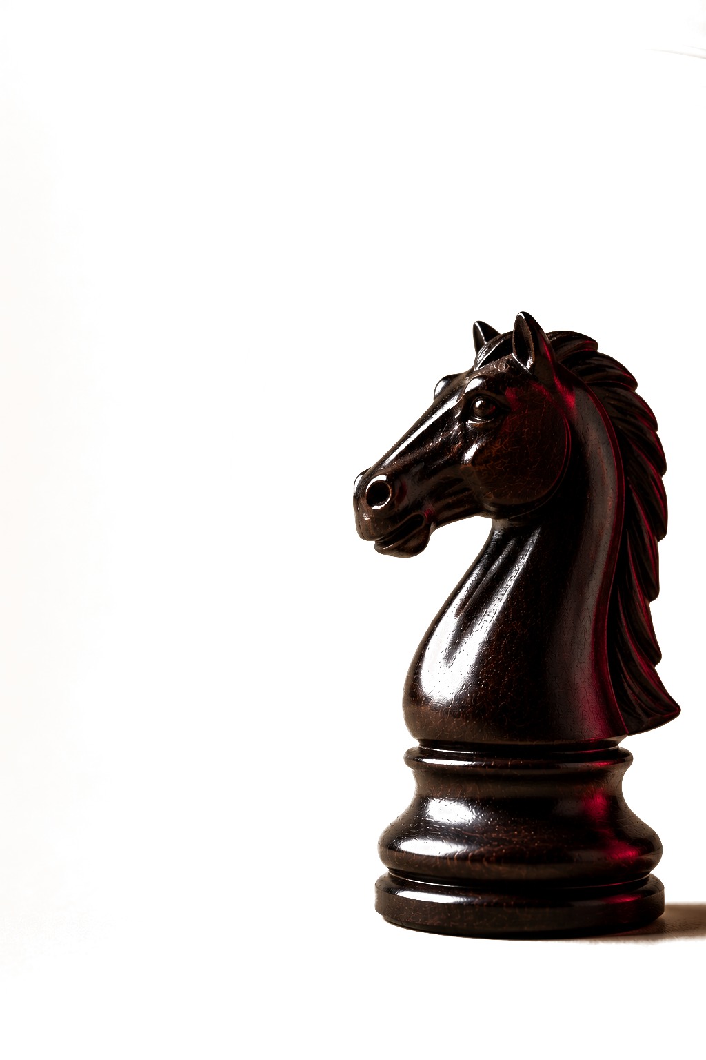 Peça de xadrez Cavalo, representando as áreas de atuação da LHS